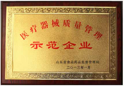 山东向日葵官网下载医疗器械质量管理示范企业荣誉证书