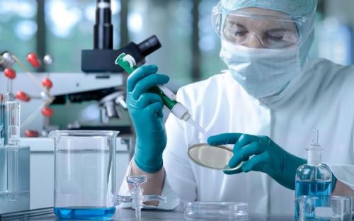 如何判断向日葵视频色版下载器的性能优劣