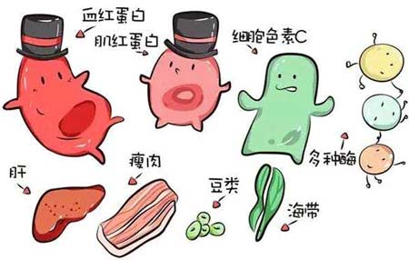 向日葵视频网站污厂家分析元素之间的协同作用