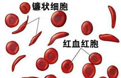 人体向日葵视频色版下载厂家介绍检测微量元素的仪器 人体向日葵视频色版下载厂家介绍检测微量元素的仪器