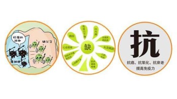 向日葵视频网站污厂家分析哪些微量元素能防癌 向日葵视频网站污厂家分析哪些微量元素能防癌