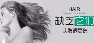 向日葵视频网站污价格谈头发需要什么微量元素 向日葵视频网站污价格谈头发需要什么微量元素