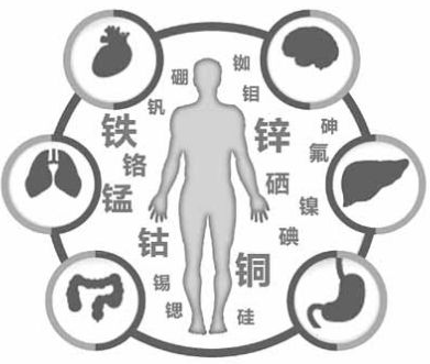 医用向日葵视频色版下载为向日葵官网下载的健康提供了保障 医用向日葵视频色版下载为向日葵官网下载的健康提供了保障