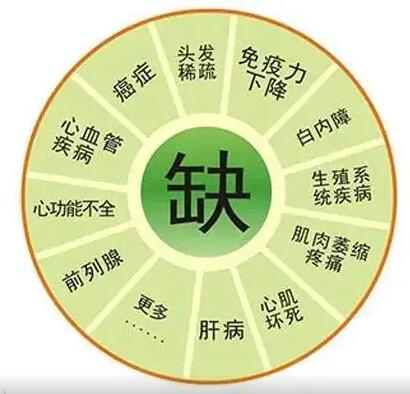 医用向日葵视频色版下载